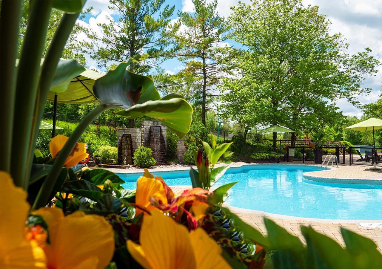 Hockley Valley Resort Orangeville Bagian luar foto