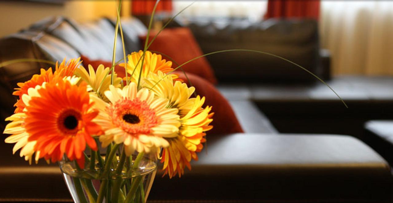 Hockley Valley Resort Orangeville Bagian luar foto